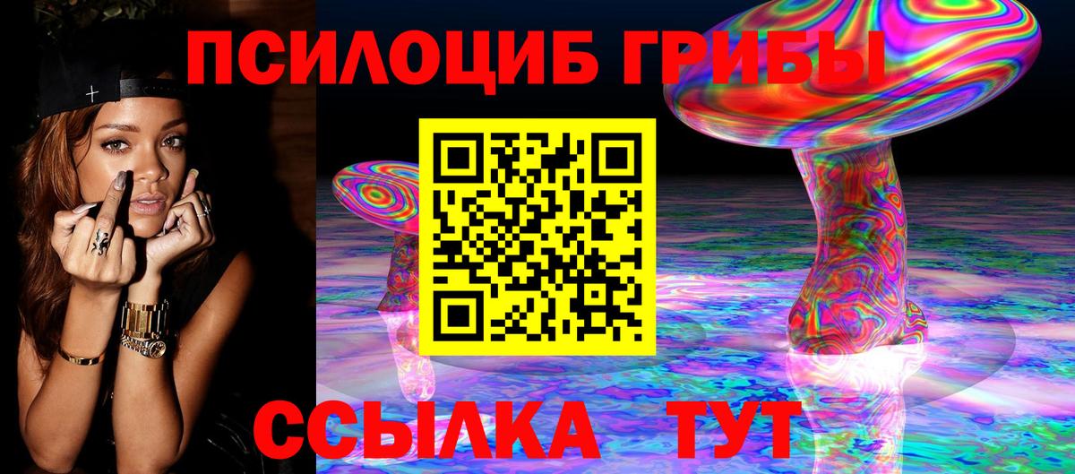 Псилоцибиновые грибы прущие грибы Казань
