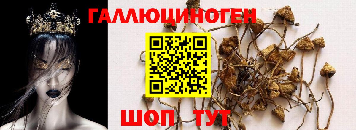 купить наркотик  Вход с VPN  Казань  Галлюциногенные грибы мицелий 